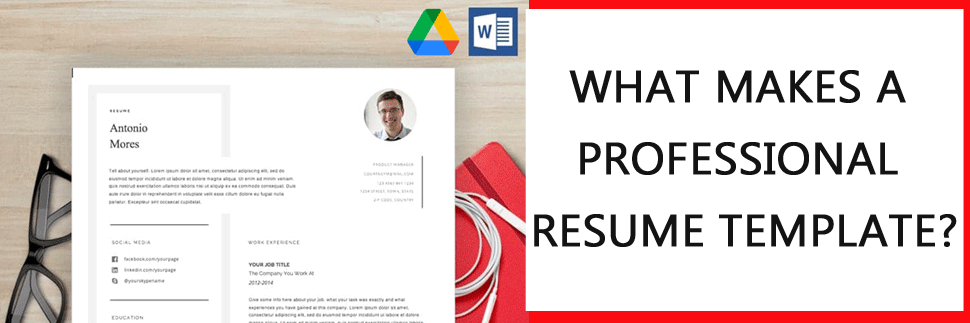what makes a professional resume template